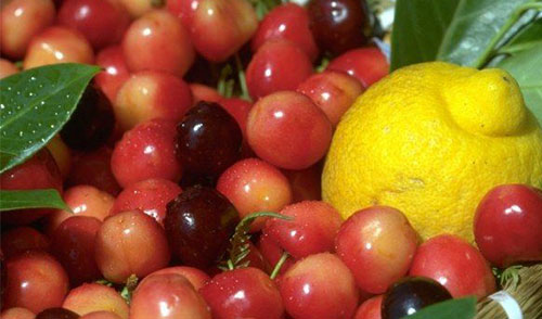 ���������¿���ͬ���� ����3����ע������